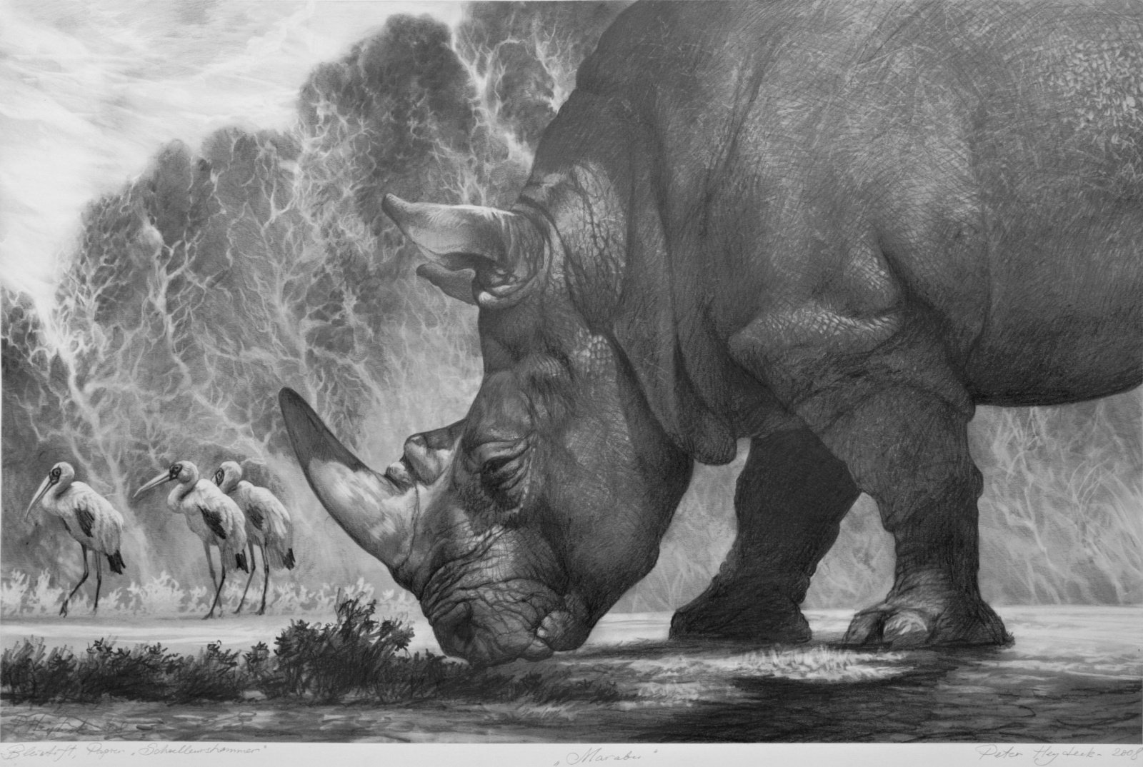 Носорог и осьминог носят десять пар. Носорог рисунок. Носорог карандашом. Бегемот Графика. Дикие животные Графика.